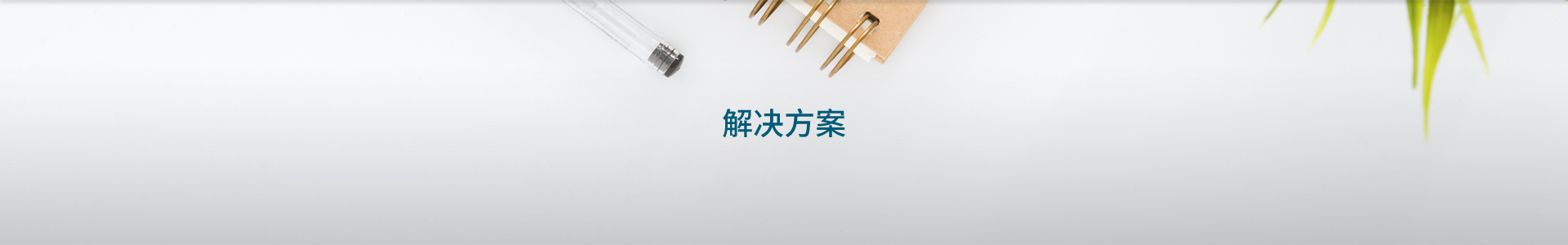 &#80;&#84;&#30495;&#20154;&#65288;&#20013;&#22269;&#65289;&#23448;&#26041;&#32593;&#31449;